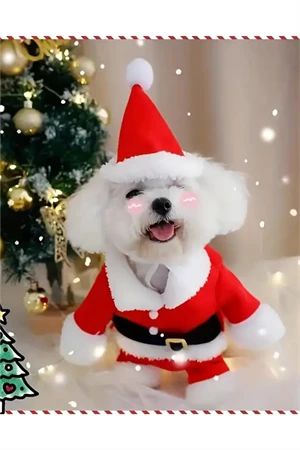 Şenlikli Noel Baba Köpek Kostüm Seti – Küçük Irklar İçin Sıcak Polyester Tulum, Kazak Tasarım Evcil Hayvan Kıyafeti-L beden - 2