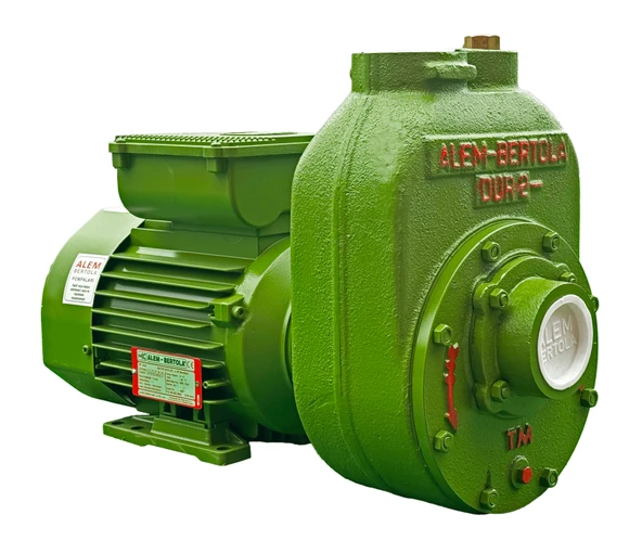 ALEM BERTOLA DUR Su Pompası 1.5 Hp Monofaze 220 Volt ürün görseli