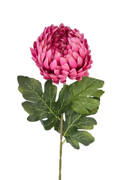 Yapay Çiçek Krizantem Fuşya 90cm Tek Dal Kumaş Çiçek Uzun Dal ürün görseli 1