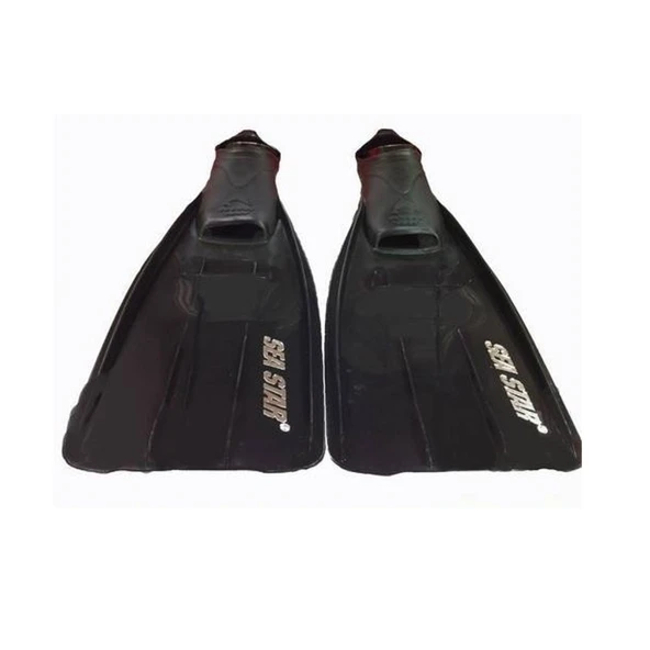 29/31 SEA STAR PALET - 2