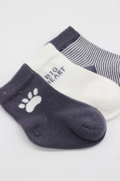 NessiWorld 3'Lü Penye Soket Çorap BS10110 Antrasit - Resim 4