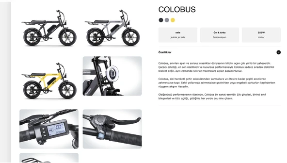 Ape Ryder Colobus Premıum Elektrikli Bisiklet - 750W - Siyah - 2