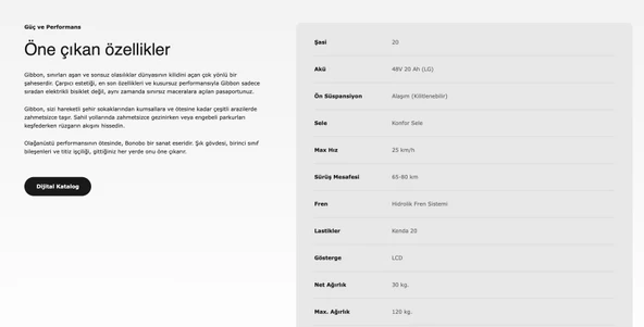 Ape Ryder Gibbon 250 W Elektrikli Bisiklet - 5