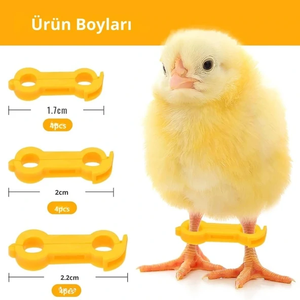 12 Adet Civciv Ayak Düzenleyici Aparat | Yeni Doğan Civcivlerde Ayrık Ayak Düzeltici, Kümes Hayvanı Yürüme Denge Aparatı ürün görseli
