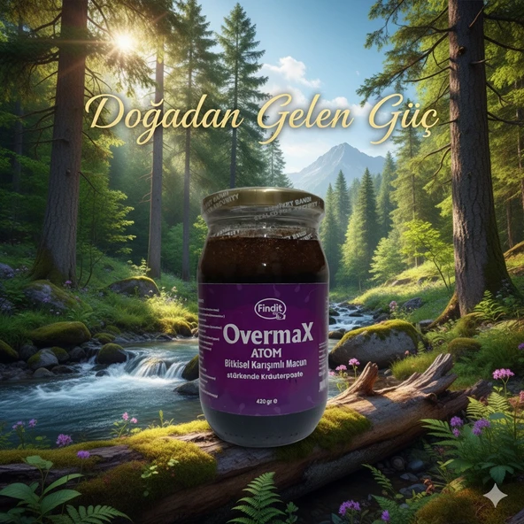 Findit Overmax Bitkisel Karışımlı Atom Macun 420 gr - Resim 3
