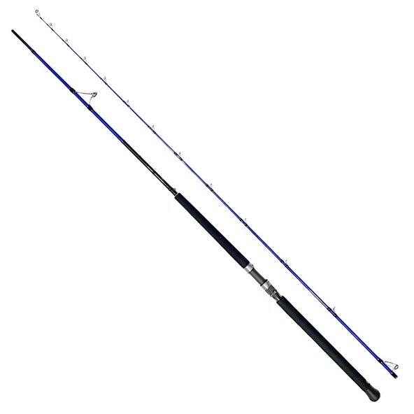 Bauer Risco 305cm 30-100gr Shore Jigging Olta Kamışı