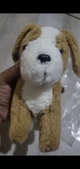 Pelus tavşan teşhir ürün görseli