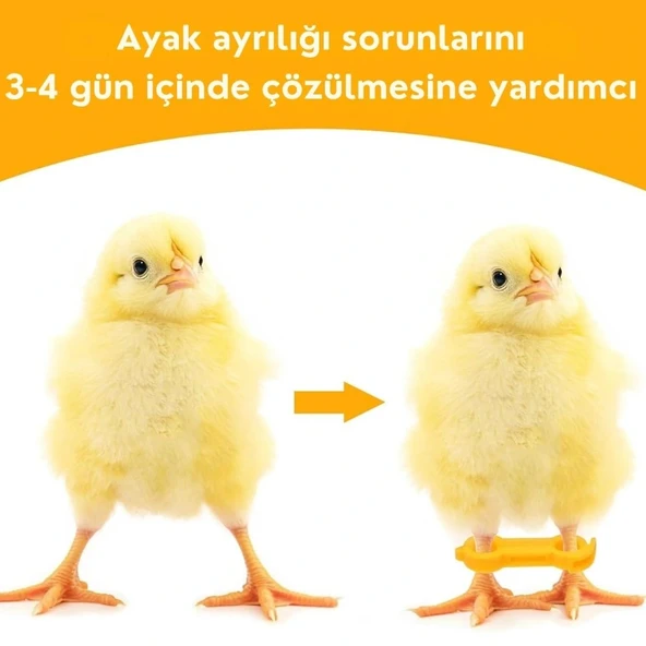 12 Adet Civciv Ayak Düzenleyici Aparat | Yeni Doğan Civcivlerde Ayrık Ayak Düzeltici, Kümes Hayvanı Yürüme Denge Aparatı - Resim 5