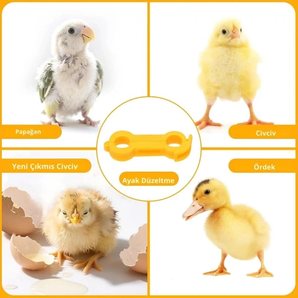 12 Adet Civciv Ayak Düzenleyici Aparat | Yeni Doğan Civcivlerde Ayrık Ayak Düzeltici, Kümes Hayvanı Yürüme Denge Aparatı - Resim 3