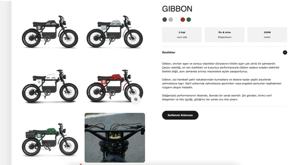 Ape Ryder Gibbon 250 W Elektrikli Bisiklet - Resim 2