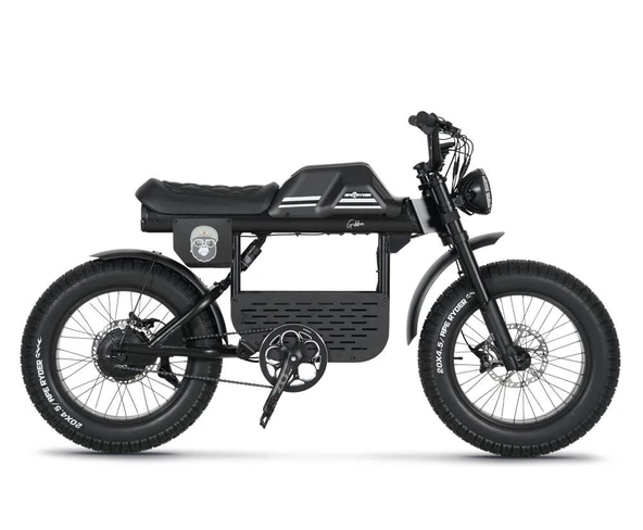 Ape Ryder Gibbon 250 W Elektrikli Bisiklet