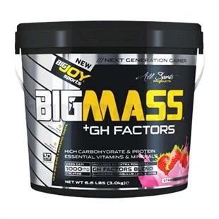 BigJoy Sports Bigmass GH Factors Çilek 3 kg ürün görseli