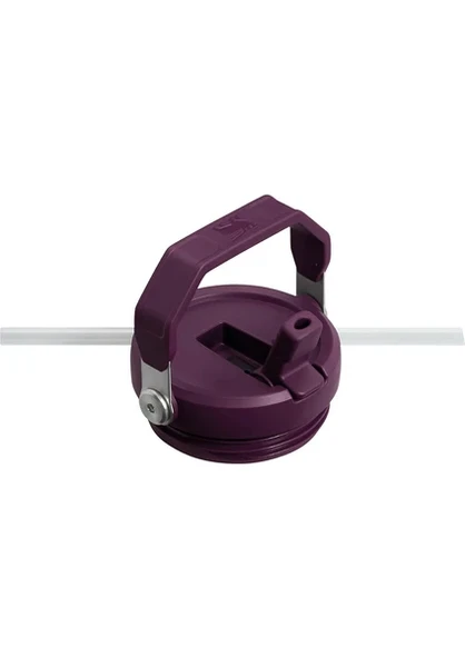 Stanley The Iceflow Flip Straw 0.89 lt Pipetli Termos Bardak Turuncu - 3