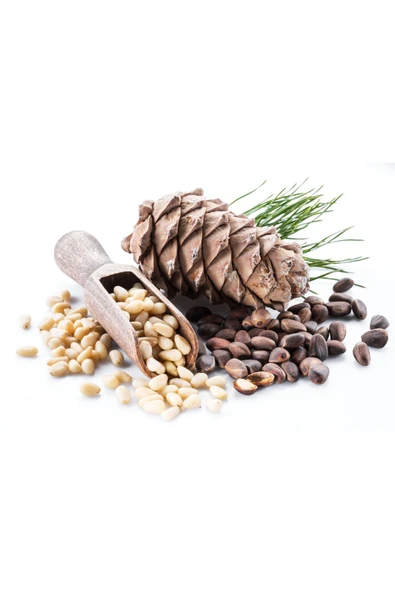 Çam Fıstığı Deluxe Seri Organik Lezzetli 50 Gr - 2