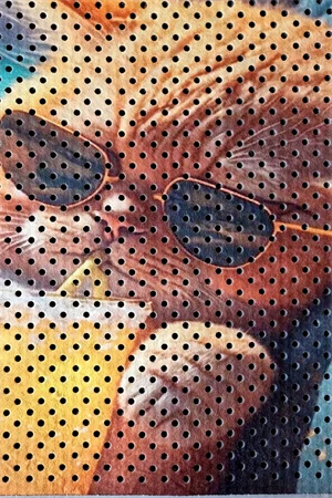 Kedi Kumu Paspası, Delikli Kedi Tuvaleti Paspası, Dijital Baskılı Kedi Paspası - Resim 2