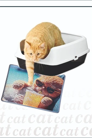 Kedi Kumu Paspası, Delikli Kedi Tuvaleti Paspası, Dijital Baskılı Kedi Paspası ürün görseli