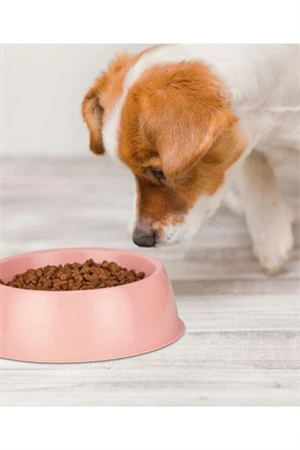 Lüx Kedi Köpek Mama Ve Su Kabı - Resim 3