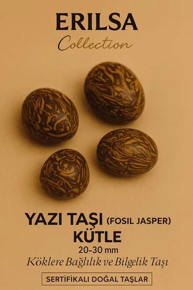 Sertifikalı Yazı Taşı (Fosil Jasper) Kütle 20–30 mm Köklenme Bilgelik ve Güç Enerjisi Taşı ürün görseli