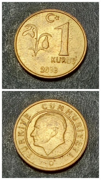 Escoines Koleksiyon 3996368f41d7e87d8f 2018 1 kuruş ççt+ eski madeni para ürün görseli 1