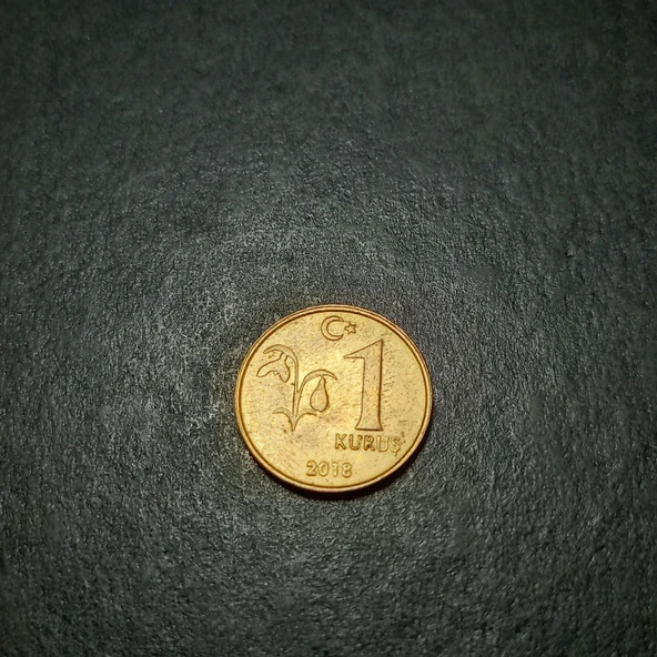 Escoines Koleksiyon 3996368f41d7e87d8f 2018 1 kuruş ççt+ eski madeni para - Resim 2