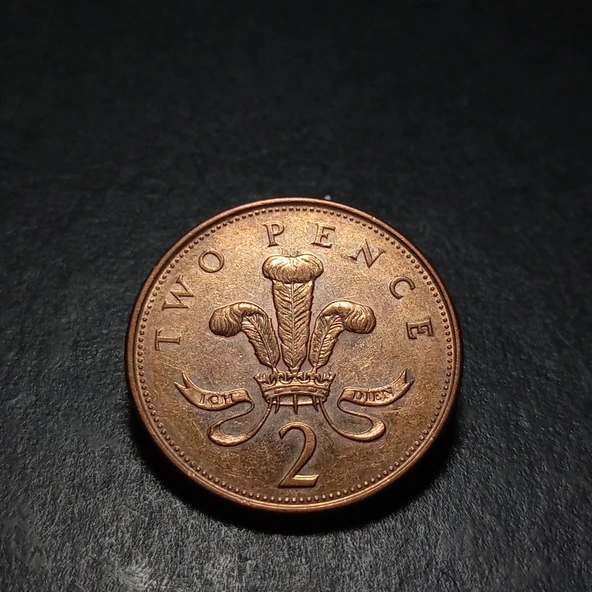 Escoines Koleksiyon 3996368f4195cded4f 2003 two pence CA eski yabancı madeni para - Resim 3