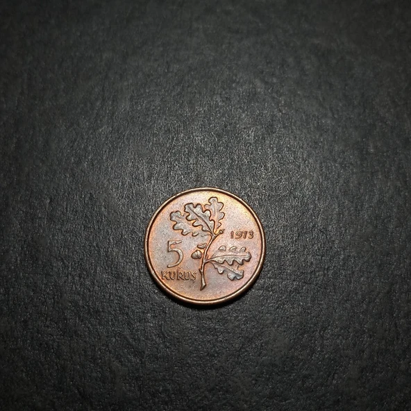 Escoines Koleksiyon 3996368f41e078eda1 1973 ççt+ 5 Kuruş eski madeni para - Resim 2