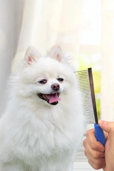 Kedi Köpek Tüy Açma Tarağı Kıtık Topak Açıcı Tarak Tüy Bakım Bit Pire Fırçası Demir Dişli Fırça - Resim 8