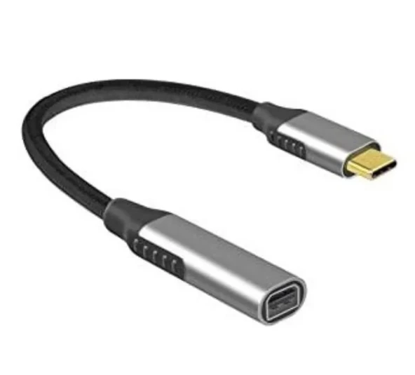 ZR125 Type-C Mini Dp Çevirici ürün görseli 1