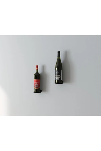 AJU Minimalist Bitki Rafı Yüzer Raf, Metal Teşhir Rafı Bitki Askısı İç Mekan Dekoratif Bitki Rafı 2 ADET - 6