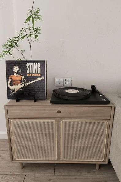 AJU Plak Standı LP Plak Tutucu Plaklık Plak Rafı Metal Modern Dekoratif Plak Kitap Fotoğraf Tutucu - 3