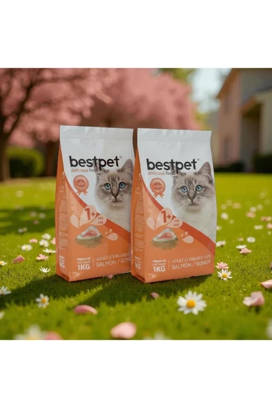 kısırlaştırılmış somonlu yetişkin kedi maması 1kg*2 adet ürün görseli 1