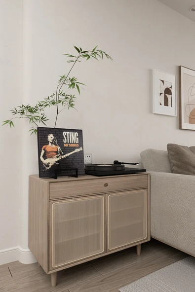 AJU Plak Standı LP Plak Tutucu Plaklık Plak Rafı Metal Modern Dekoratif Plak Kitap Fotoğraf Tutucu - 4