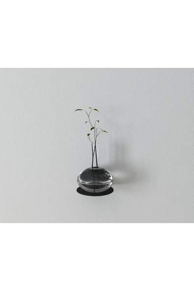 AJU Minimalist Bitki Rafı Yüzer Raf, Metal Teşhir Rafı Bitki Askısı İç Mekan Dekoratif Bitki Rafı 2 ADET - 2