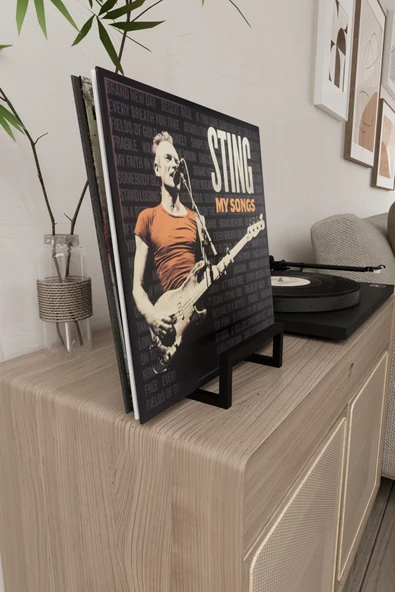 AJU Plak Standı LP Plak Tutucu Plaklık Plak Rafı Metal Modern Dekoratif Plak Kitap Fotoğraf Tutucu