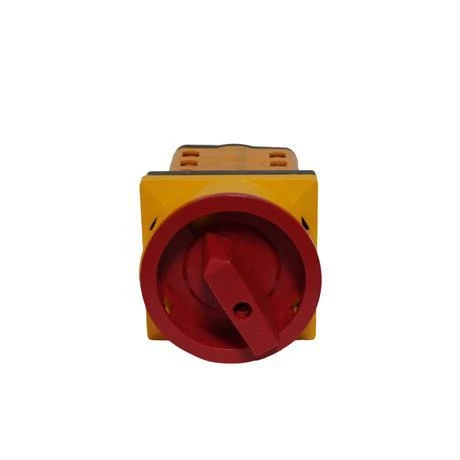 Opaş 3x25A 1-0-1 Kilitli Enversör Pako Şalter - YKL304025 - Resim 3