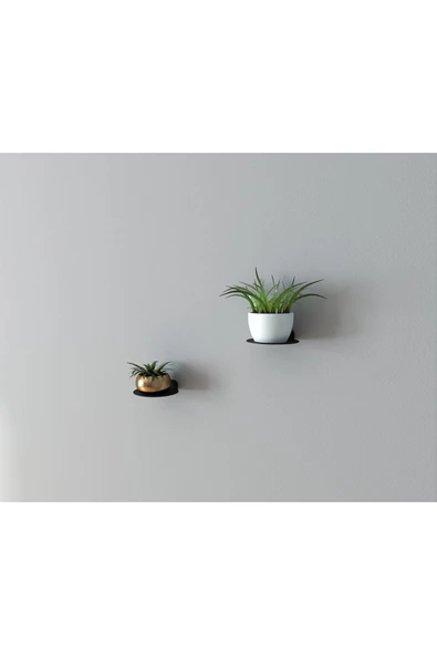 AJU Minimalist Bitki Rafı Yüzer Raf, Metal Teşhir Rafı Bitki Askısı İç Mekan Dekoratif Bitki Rafı 2 ADET