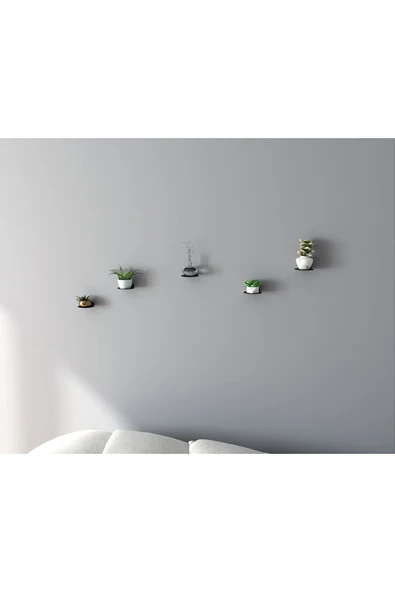 AJU Minimalist Bitki Rafı Yüzer Raf, Metal Teşhir Rafı Bitki Askısı İç Mekan Dekoratif Bitki Rafı 2 ADET - 3