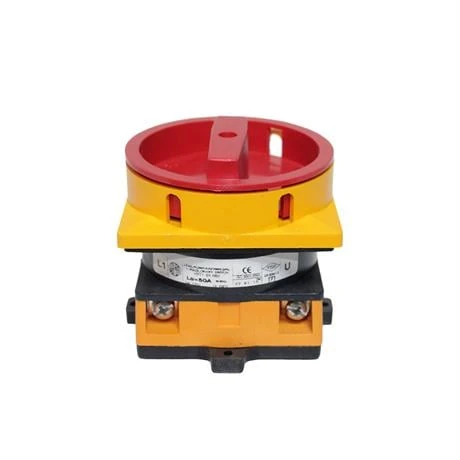 Opaş 1x50a 0-1 Aç-Kapa Kilitli Pako Şalter - YKL101050 - Resim 2