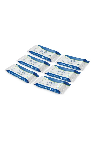 Gizlife Vücut Temizleme Mendili 6 Paket 288 Yaprak ürün görseli 1