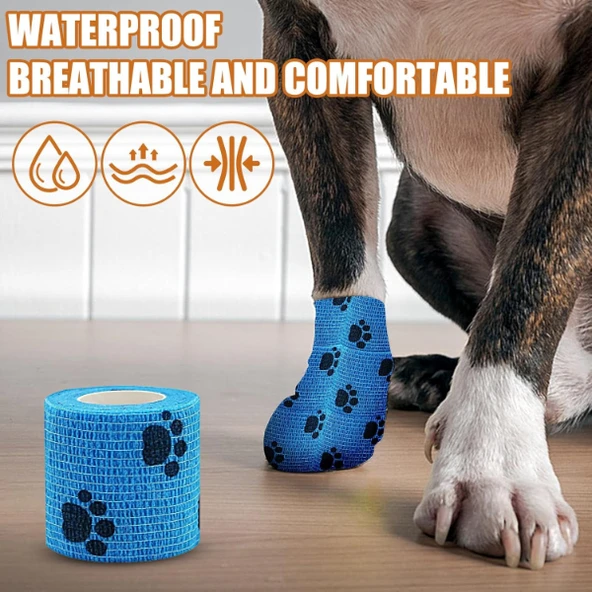 Pati Bandajı - Resim 3