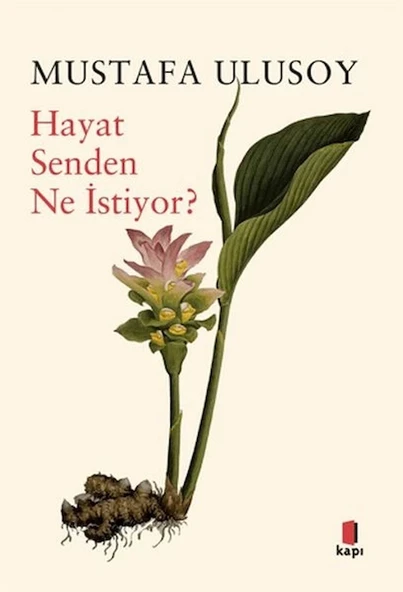 Hayat Senden Ne İstiyor? ürün görseli