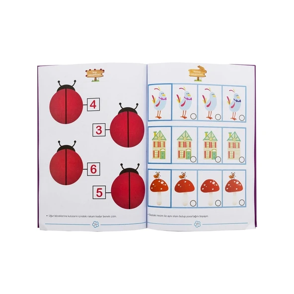 EOLO ZİHİNSEL GELİŞİM ETKİNLİKLERİ-3 3+YAŞ - Resim 2