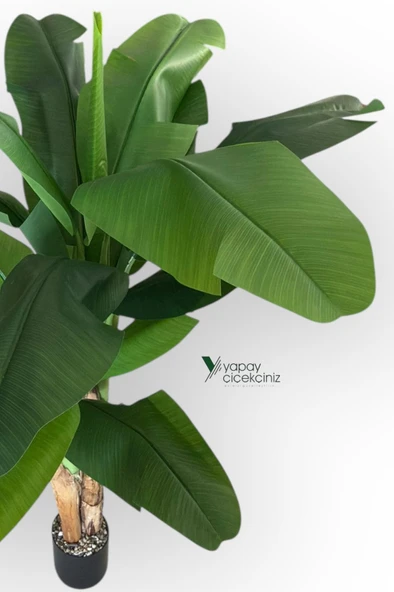 145 Cm 13 Dallı Islak Görünüm Yoğun İri Yapraklı Yapay Muz Ağacı - Resim 6