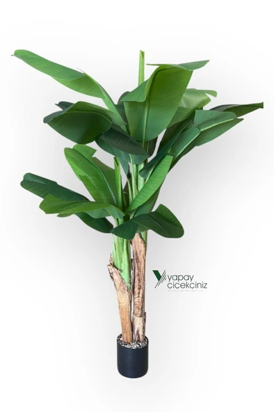 145 Cm 13 Dallı Islak Görünüm Yoğun İri Yapraklı Yapay Muz Ağacı - Resim 4