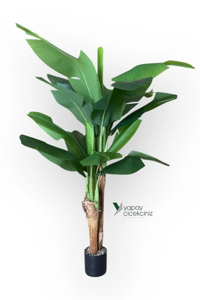 145 Cm 13 Dallı Islak Görünüm Yoğun İri Yapraklı Yapay Muz Ağacı - Resim 5