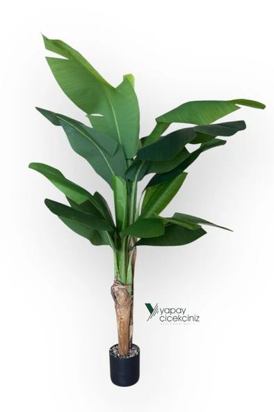 145 Cm 13 Dallı Islak Görünüm Yoğun İri Yapraklı Yapay Muz Ağacı - Resim 3