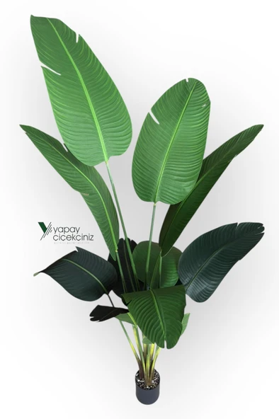 12 Dallı 195 cm Dokulu İri Yapraklı Lüks Starliçe Ağacı - Resim 6