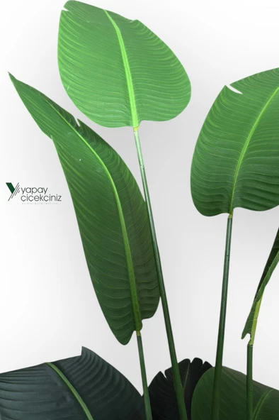 12 Dallı 195 cm Dokulu İri Yapraklı Lüks Starliçe Ağacı - Resim 4