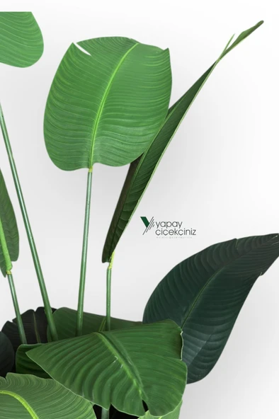 12 Dallı 195 cm Dokulu İri Yapraklı Lüks Starliçe Ağacı - Resim 5