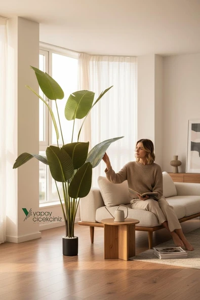 12 Dallı 195 cm Dokulu İri Yapraklı Lüks Starliçe Ağacı - Resim 7